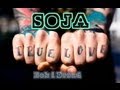 SOJA - TRUE LOVE ( Tradução ) Soldiers of Jah Army ...