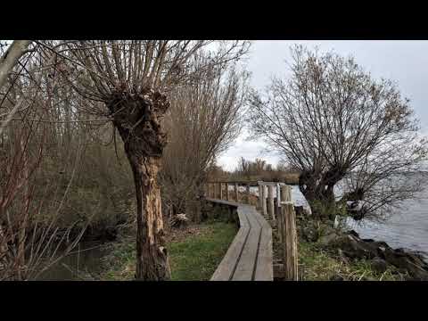 Rhoon - Rotterdam Zuidplein