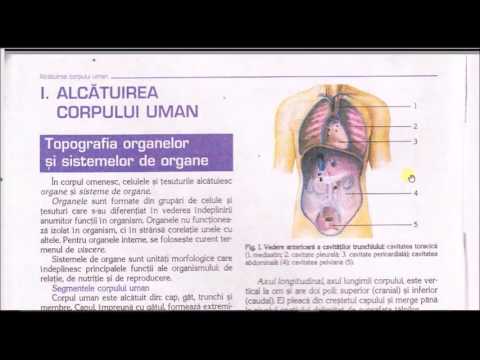 1.ALCATUIREA CORPULUI UMAN