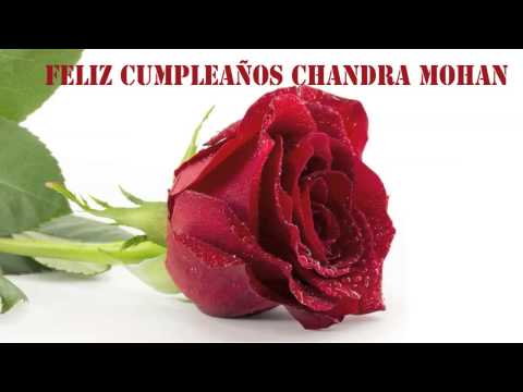 ChandraMohan   Flowers & Flores - Happy Birthday