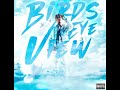Birds Eye View Juice Wrld