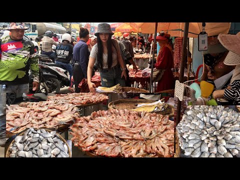 Fish Market Tour With Frendy, Wet & Dried Fish Market Walking Tour, Cambodian Street Food Market