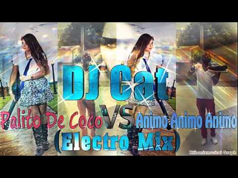DJ Cat - Palito de Coco VS Animo Animo Animo (ELECTRO MIX)