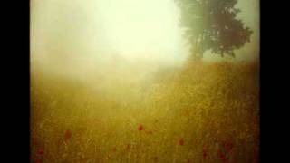 Bright Night Morning Silje Nes