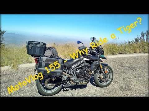 MotoVlog 155 - Why Ride a Triumph Tiger 800 Roadie ( XRX ) ?