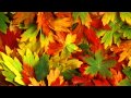 The whisper of the leaves HD 