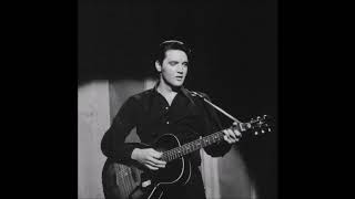 Elvis Presley Spring Fever