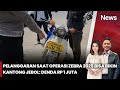 Bahaya Pelanggaran Saat Operasi Zebra 2025 Ini Kena Denda Tilang Rp 500 Ribu Dan Rp 1 Juta