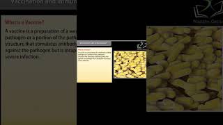 Class 12 BIOLOGY || Chapter Human Health and Disease I Vaccination and Immunization || #biology