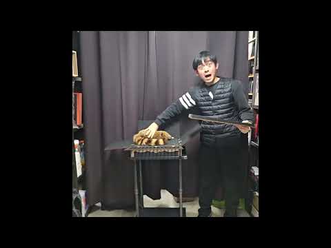 deluxe wood dove to rabbit