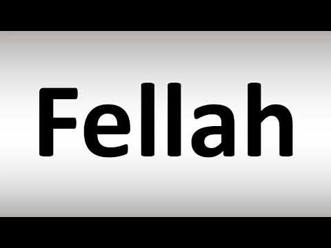 How to Pronounce Fellah