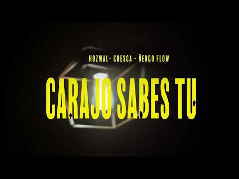 Miniatura de Carajo Sabes T&uacute;