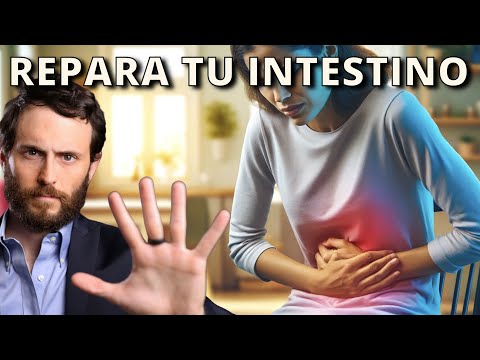 Cómo Reparar el SIBO y tu Salud Intestinal