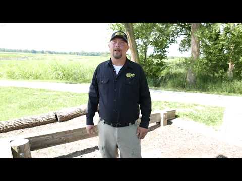Critter Control of Kaw Valley Wildlife Removal tips - Intro