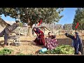 Documentary Stepmother Hamid S Love For Fatima And Zahra S Jealousy