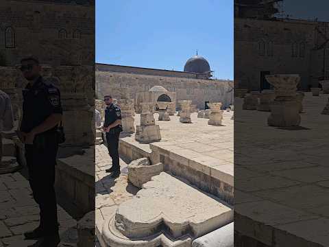 ברוך הבא בשם ה' ברכנוכם מבית ה' | עליה בטהרה | יבנה המקדש #nevergiveup #jewishlife #prayforisrael