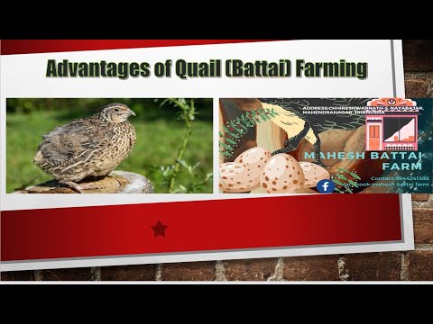 , title : 'Advantages of Quail Farming'