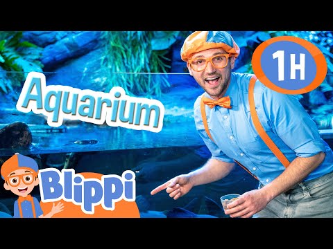 Blippi Visits the Aquarium and Learns about Fish | Educational Videos for Kids