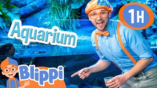 Download lagu Blippi Visits the Aquarium and Learns about Fish | Educational Videos for Kids mp3