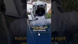 Robot Dogs Replace Night Security Guards in Atlanta Apartments | IGR | India Global Review