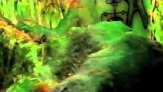 Third Eye - New Life [Psy-Vision Video] Psy-Harmonics
