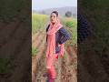 Simple Simple New Song Out Diler Kharkiya Haryanvi Song Youtubeshorts