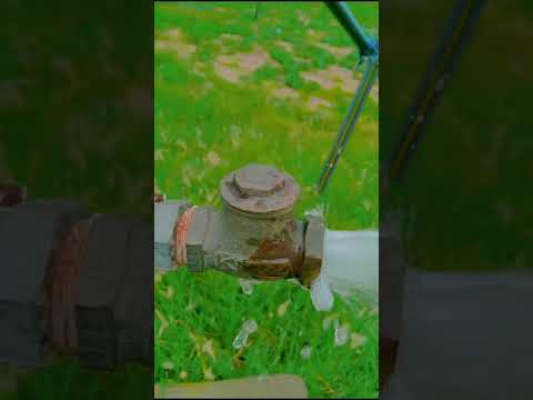 today best video#tanzeelofficial