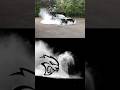 Dodge Challenger Hellcat Cleanest One For 40k Automotiveenthusiast Shorts