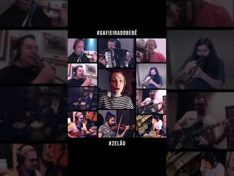 Zelão - Sérgio Ricardo