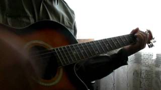 The Queers - Teenage Bonehead (Acoustic cover)