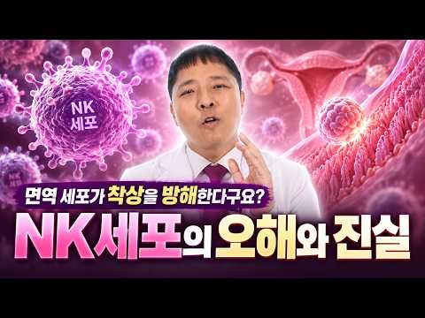 비싼 면역 검사 전 필수 시청! 착상 성공을 결정짓는 2가지 기본기