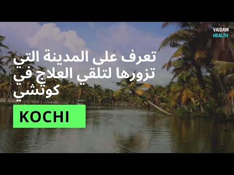 تعرف على المدينة التي تزورها للعلاج - كوتشي