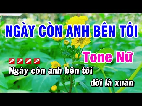 Karaoke Tone Nữ Ngày Còn Em Bên Tôi Nhạc Sống (Beat Hay) Hoài Phong Organ