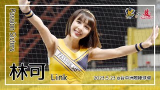 【台湾チア】林可 Link / Passion Sisters / 2023.5.23 潘志芳,王威晨,岳政華 應援曲 + 嗆司曲 CHARGE + OH MY BUDDY 中信兄弟 [中文歌詞]