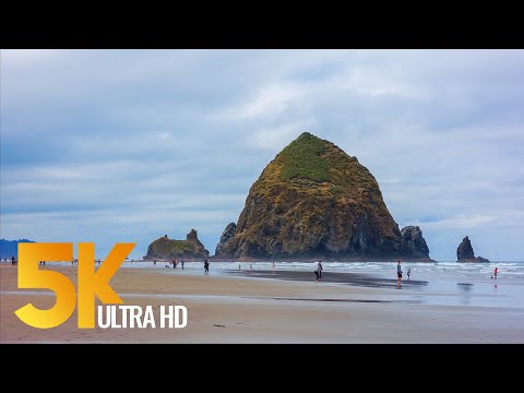 Pacific Northwest. Part #1 - Coastal Oregon - Views of the Ocean in 5K - 3 HOUR Relaxation Video