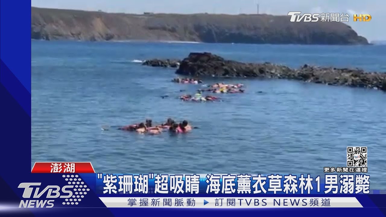 「紫珊瑚」超吸睛 海底薰衣草森林1男溺斃