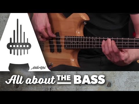 First Look at the Chowny SWB-1 Bass Range!