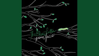 This Window Is Made of One-Way Glass