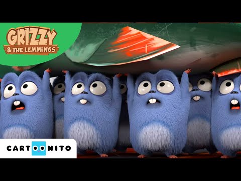 Grizzy und die Lemminge | Unser neuer Anführer | Cartoonito