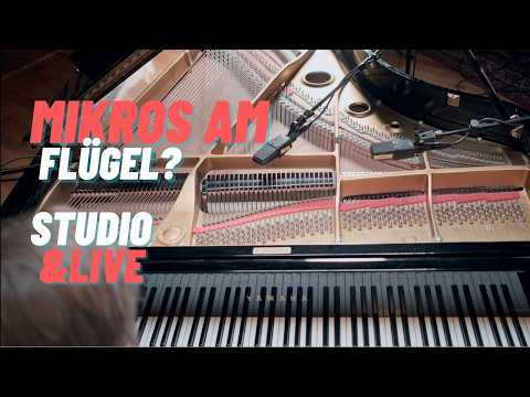 FLÜGEL RICHTIG AUFNEHMEN - einfach erklärt!