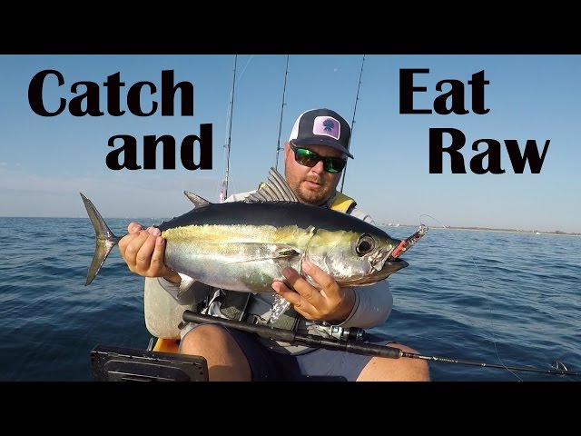 Kayak Fishing: Catch & Eat RAW on the water