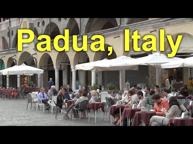 Video Pronunciation of Padua in English Video Pronunciation of Padua in English