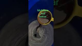 Download lagu GROSIR MADU,0812-1711-1467 , TERMURAH MADU GROSIR,SARANG MADU,PRODUSEN MADU LANGSUNG PETERNAK mp3 Download lagu GROSIR MADU,0812-1711-1467 , TERMURAH MADU GROSIR,SARANG MADU,PRODUSEN MADU LANGSUNG PETERNAK mp3