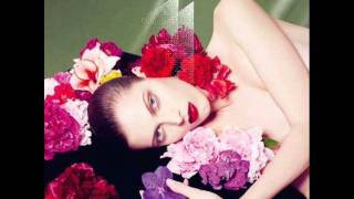 Stéphane Pompougnac - Hello Mademoiselle (shazz remix).wmv