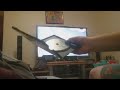 Opening To Looney Tunes Back In Action 2004 Australian Dvd