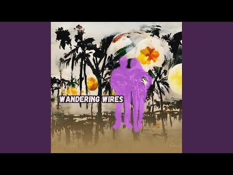 Wandering Wires