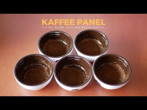 Wer röstet den besten Filterkaffee? - Das Kaffee-Panel Ranking