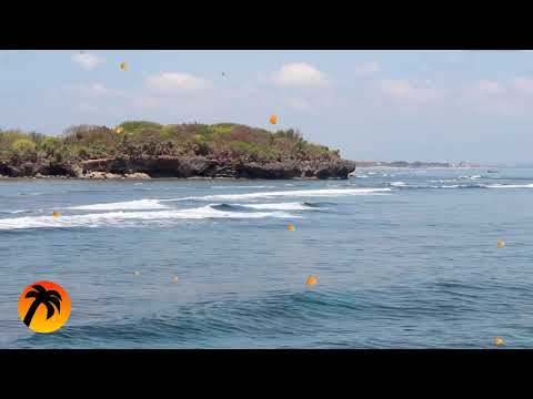 Sounds of Nature _ Crickets and the Sound of the Wind, The Rustle of Grass - 3 hours of Relax