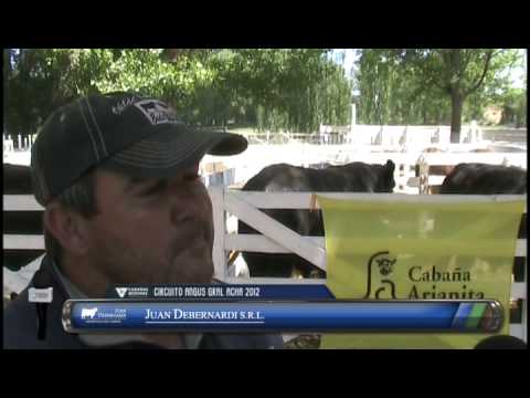 www.cabañasbovinas.com - GRAL ACHA 2012 - Ariel Raitieri