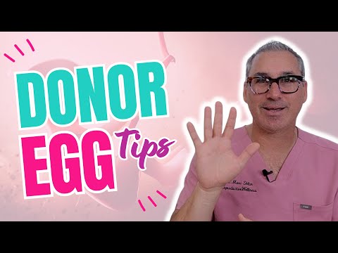 Using An Egg Donor: What You Need To Know To Get Pregnant with Egg Donation